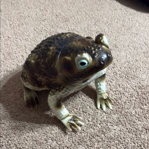 Realistic Frog Figurine